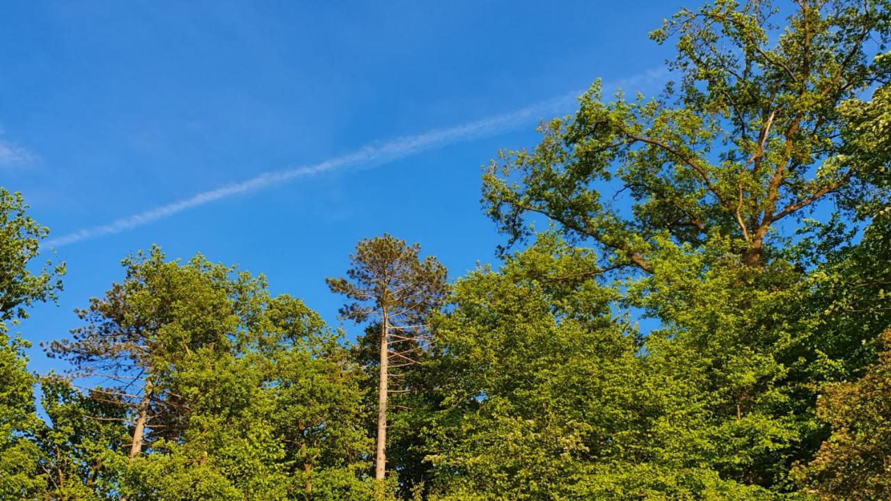 Gite De Terre Et De Charme Hamoir Bagian luar foto