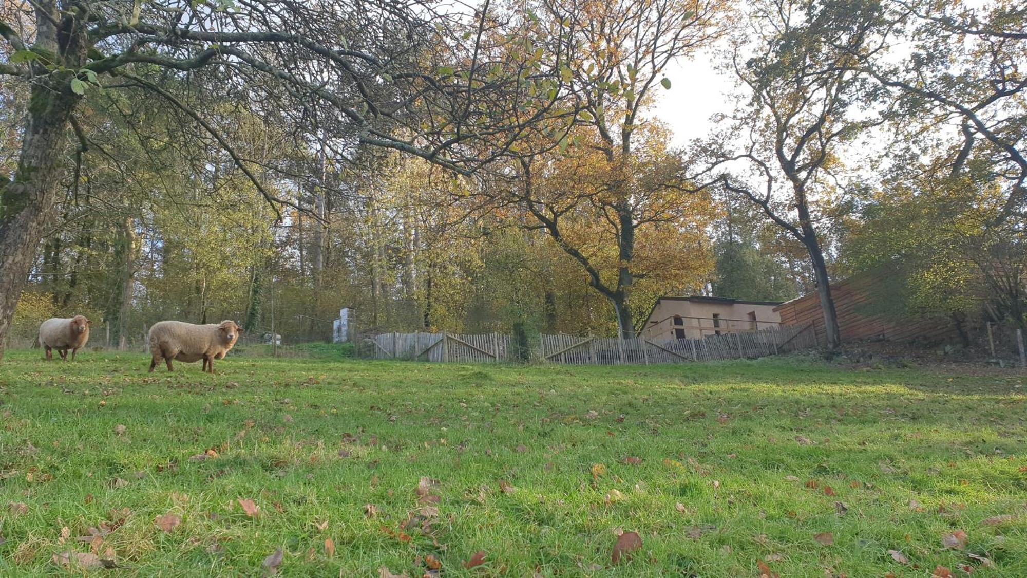 Gite De Terre Et De Charme Hamoir Bagian luar foto